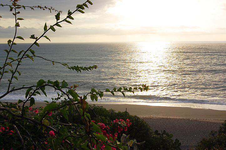 Unspoilt beach in Estepona